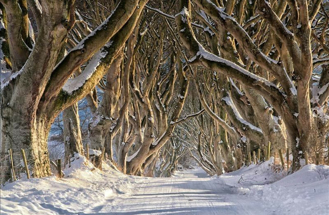 Traffic Banned From Iconic Game Of Thrones Road In Antrim