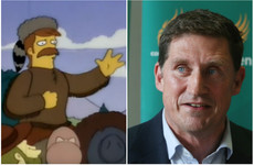 Eamon Ryan dropped a casual Simpsons reference in the Dáil yesterday