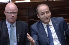 Talk of 'telepathic' borders and 'getting dogs ready' as Varadkar and Martin clash on Brexit