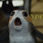 The adorable 'porgs' in the new Star Wars trailer are actually based on puffins found on Skellig Michael