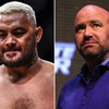 Mark Hunt slams 'bald-headed p***k' Dana White after being removed from UFC main event