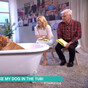 19 moments that prove daytime telly is the weirdest place of all