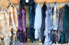 Gucci: 'Animal fur isn't "modern". Wearing fur belongs in the Stone Age'