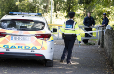 Gardaí believe woman whose body was found in woods was last seen with a man