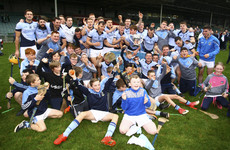 Breen fires 0-6 from play as Na Piarsaigh wrestle back Limerick hurling title