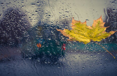Poll: Did you decide to travel this morning?