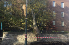Here's what to do if your property has been damaged by Storm Ophelia