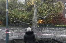 School closures, power outages and widespread disruptions: How Ophelia will affect Ireland today