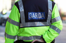 Man killed in Tipperary by falling tree limb