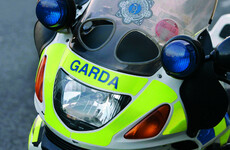Man killed in Louth as tree falls on his car