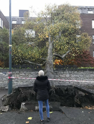 ophelia storm dublin ireland trees dramatic most after down