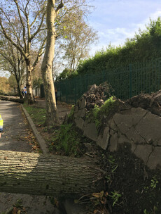 'It was like driving through a war zone': Cork picking up the pieces after Storm Ophelia
