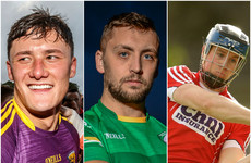 Tipp, Wexford and Cork stars named on 20-man panel for hurling/shinty international