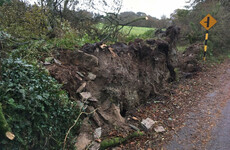 Thank you: A letter from my Ophelia-hit house to those who helped us