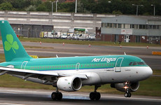 Aer Lingus flight returns to Dublin after 'significant damage' to runway lights discovered