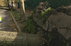 Two men die in separate accidents while repairing storm damage