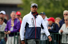 'It's good for the game': Dustin Johnson welcomes return of fit-again Tiger Woods