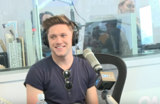 Ryan Seacrest told Niall Horan he's a third Irish and a lot of cringing ensued