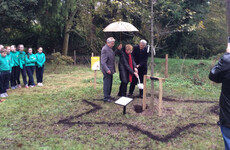 Holocaust survivor plants Irish oak tree at Russborough House