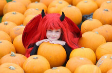 Poll: Will you be making or buying this year's Halloween costumes?