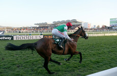 Fayonagh, last season's Champion Bumper winner, suffers fatal injury