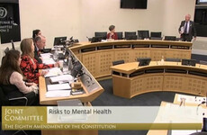 Mattie McGrath storms out of 'biased' Eighth Amendment Committee