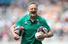 Schmidt's statement, Bundee's inclusion and more Ireland squad talking points