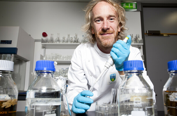 This scientist wants to turn Ireland into