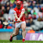 'There's no better free-taker in Dublin than David Treacy. It was the right decision to bring him back on'