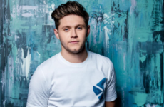 Niall Horan has suggested he might have a rap feature on Camila Cabello's upcoming album