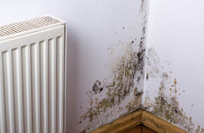 Child who allegedly developed acute bronchitis from damp and mould at former home awarded €20,000 damages