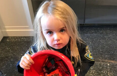 Donald Trump Jr is getting torn to shreds for a tweet comparing his daughter’s trick or treating to socialism