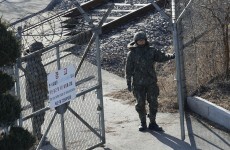 US and South Korea engage in joint military drills
