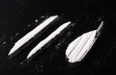 Alcohol makes rats more likely to compulsively take cocaine