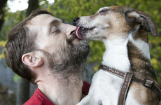Pictures: Homeless man who rescued his rabbit from the Liffey in 2011 now lives on Royal canal with his dogs