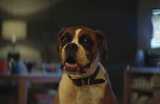 Some details about this year's John Lewis Christmas ad have been leaked