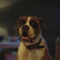 Some details about this year's John Lewis Christmas ad have been leaked