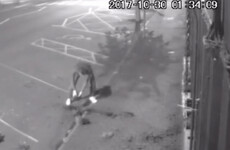 A Louth shop's CCTV picked up a man fixing their flower pots after they were vandalised