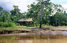 'I tell my son: never put out your hand to the white man': What it's like living in the Amazon rainforest