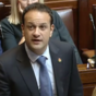 Leo Varadkar was wearing a 'shamrock poppy' in the Dáil today