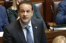 Poll: Should Leo Varadkar have worn the 'shamrock poppy' in the Dáil?