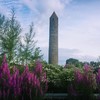 Your guide to Clondalkin: Suburban estates, a round tower and the Happy Pear