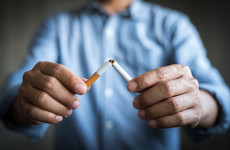 Why is it so hard to quit smoking? Tiny worms may have the answers