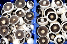 Ireland's food board is worried young people are growing up 'without a mushroom habit'