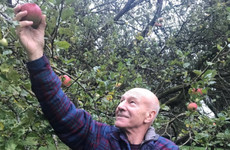 18 reasons why Patrick Stewart's Twitter account is probably the only good thing about 2017