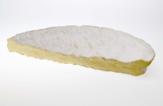 Sheridans recalls cheese batch due to listeria detection