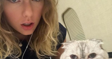 Taylor Swift, Liam Payne and Drake... it's our celeb winners and losers of the week