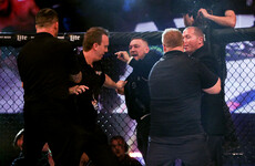 More controversy as Conor McGregor jumps cage and shoves referee at Dublin MMA event