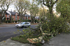 Government won't tell businesses to close during red weather alert, but companies must draw up guidelines