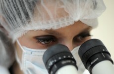 TCD scientists find 'off switch' in immune response